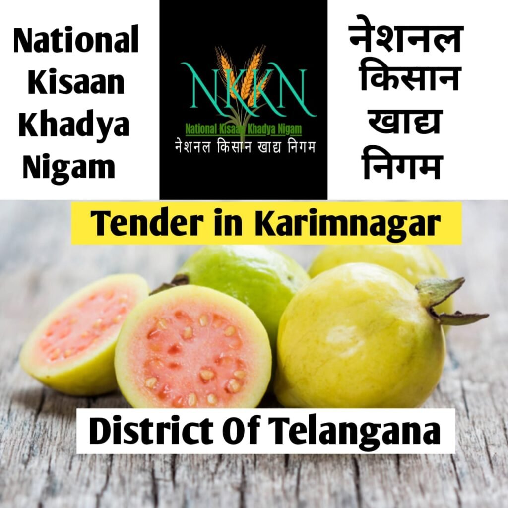 national kisaan khadya nigam,nigam 